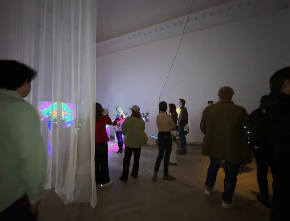 Visitors walk through a gallery hung with white curtains and coloured light.